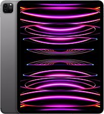 Apple iPad Pro 12,9 2TB [wifi + cellular, model 2022] spacegrijs - refurbished