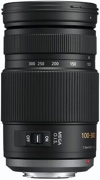 Panasonic Lumix G VARIO 100-300 mm F4.0-5.6 67 mm