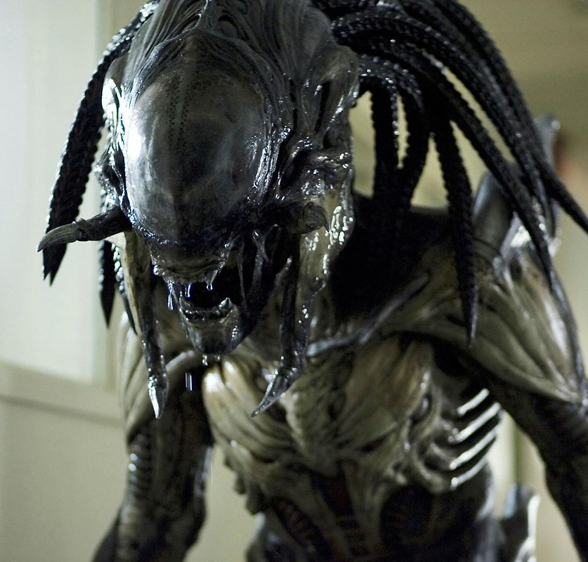 Alien predator 2 shop