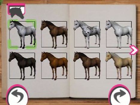 Horse Life 4 Mein Pferd mein Freund mein Champion Nintendo 3DS