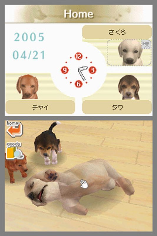 Nintendogs Labrador Friends Nintendo DS gebraucht kaufen