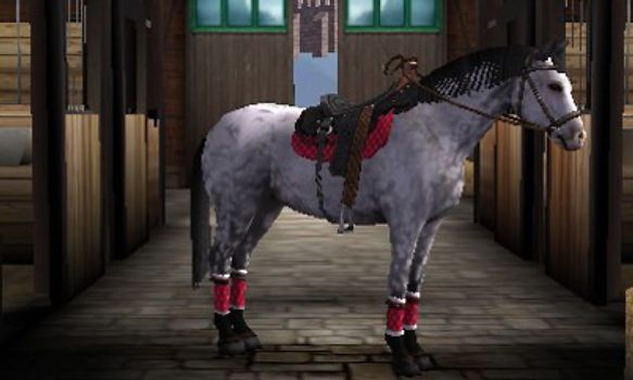 Horse life 4 nintendo 3ds store