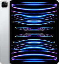 Apple iPad Pro 256Go 2022