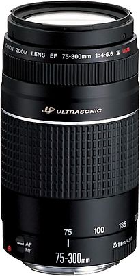 Image of Canon EF 75-300 mm F4.0-5.6 USM III 58 mm filter (geschikt voor Canon EF) zwart (Refurbished)