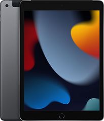 Apple iPad 10.2 64GB [wifi + Cellulare Modello 2021] Grigio Siderale (Ricondizionato)