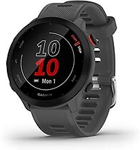 Garmin Forerunner 55 Gris
