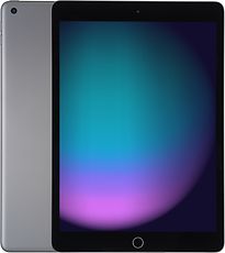 Apple iPad 10,2 256 Go [Wi-Fi, Mod�Le 2021] Gris Sid�Ral