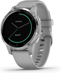 Montre Connectée Garmin Vivoactive 4S Powder Grey Stainless